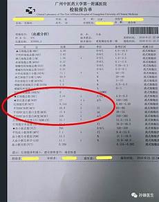 china daily 中文版,melon颁奖典礼_energy是什么意思